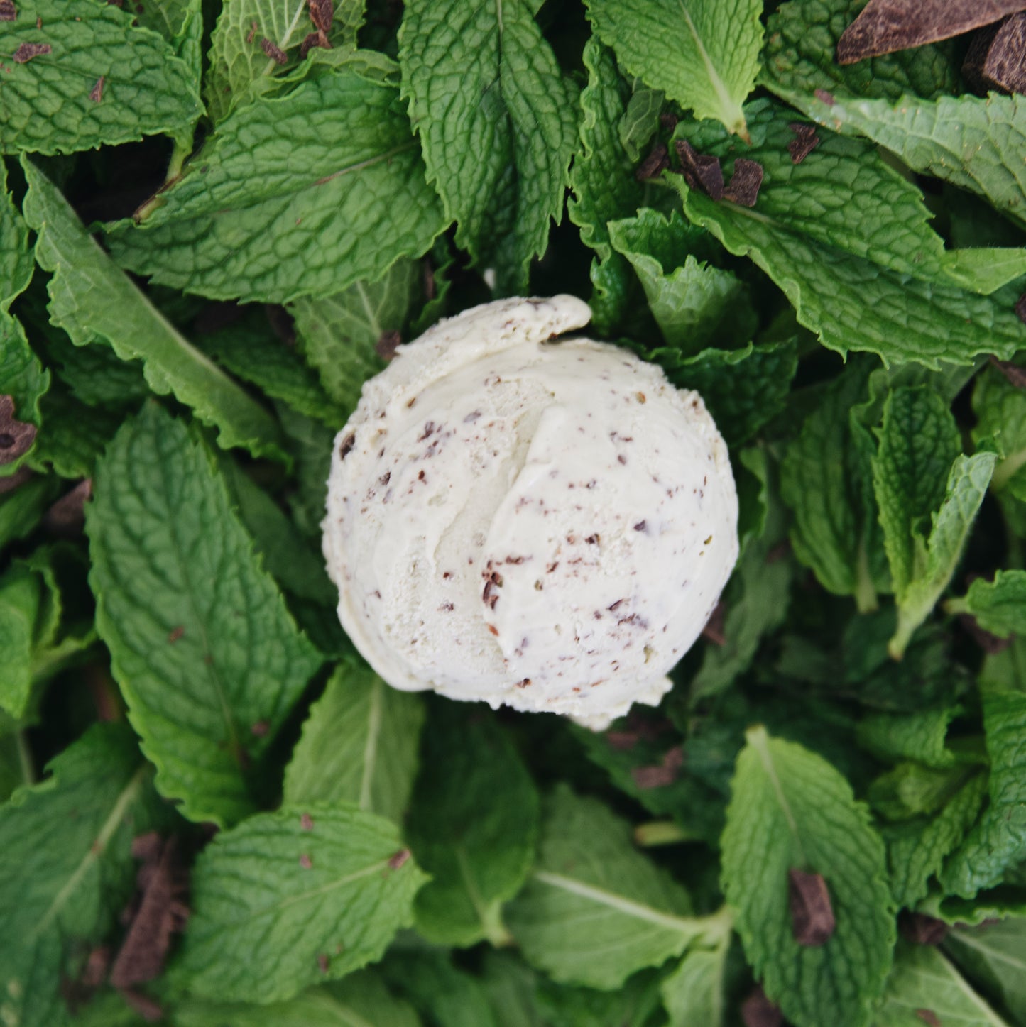 Mint Chocolate ditto ice cream made with Oh Oat milk, Cape Town Kloof Street